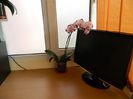 DSCN1574