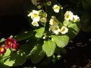 DSC09707