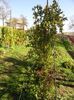 DSC09711