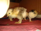 20140408_204640