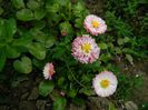 DSCN5835