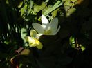DSCN5987
