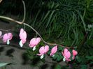DSCN6077