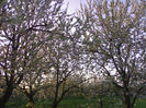 080420142070