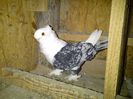 IMG-20140408-00172