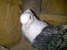 IMG-20140408-00170