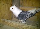 IMG-20140408-00169