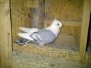 IMG-20140408-00168