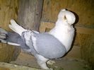 IMG-20140408-00165