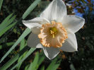 DSCN1075_012