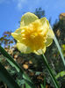 DSCN1076_013
