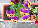 DSCN1080_017