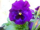 DSCN1081_018