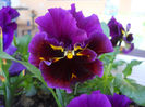 DSCN1082_019