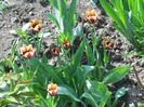 DSCN1083_020