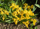 DSCN1095_032