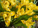 DSCN1096_033