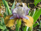 DSCN1100_037