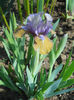 DSCN1101_038