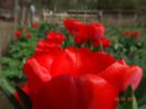 DSC01560