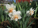 DSCN1105_042
