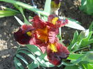 DSCN1107_044