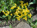 DSCN1109_046