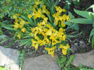 DSCN1110_047
