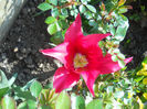 DSCN1111_048