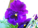 DSCN1116_053
