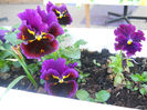 DSCN1117_054