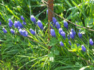 DSCN1118_055