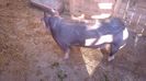 IMAG0244
