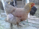 20140408_192210