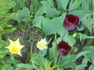 DSCN1122_059