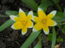 DSCN1124_061