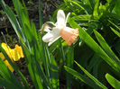 DSCN1126_063