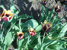 DSCN1127_064