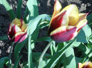 DSCN1128_065