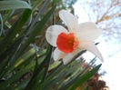 DSCN1133_070