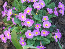 DSCN1135_072