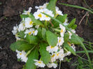 DSCN1142_079