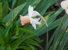 DSCN1143_080