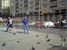 In Piata Unirii, cu porumbei, Iasi septembrie 2004