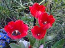 20140409_172520