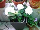 20140409_172427