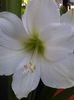 20140409_090711