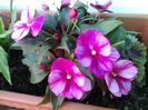 20140409_090403