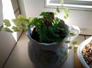 20140409_090323