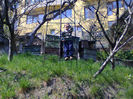 Poze din telefon 041